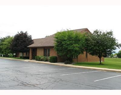 11775 Tecumseh Clinton Road 11775 Tecumseh Clinton Road